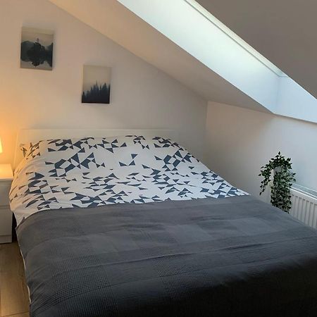 오스토프 빌코폴스키 Apartament Pod Gwiazdami 아파트 외부 사진